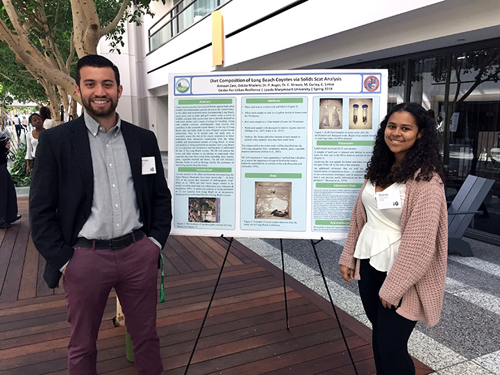 Armaan Zare, LMU class of 2018, and DeLisa Madere, LMU class of 2020, present their work on coyote scat solids analysis in University Hall as part of the City of Long Beach coyote assessment project