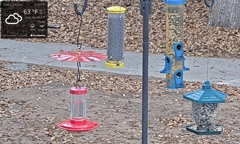 A live bird webcam showing hummingbirds feeding and stats regarding the current weather
