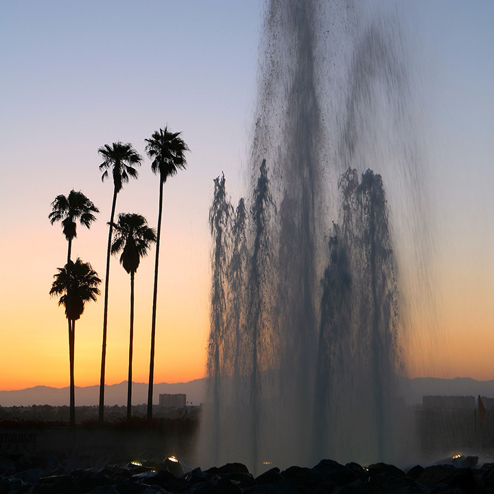 The LMU entrance fountain and palm trees at sunset