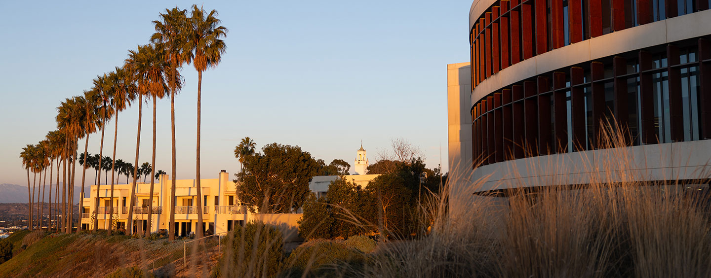 A view of William H Hannon Library from the bluff at sunset with palm trees and Los Angeles in the distance