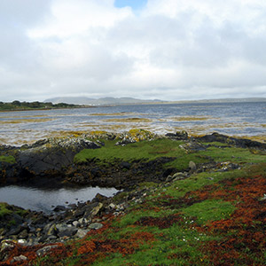 An ocean and mossy landscape