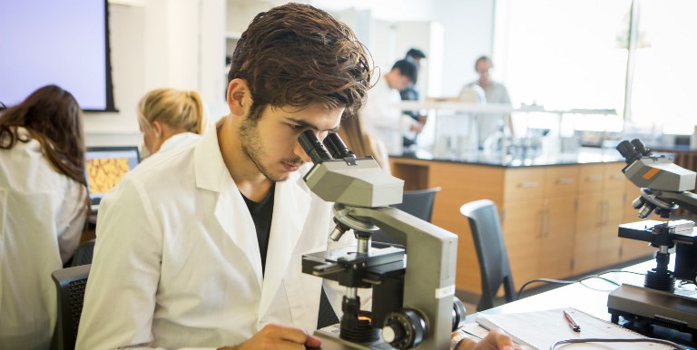 Student working in a lab.